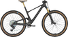 Scott Spark 900 Ultimate EVO AXS - Raw Carbon - S