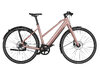 Riese & Müller UBN Seven Singlespeed Rose